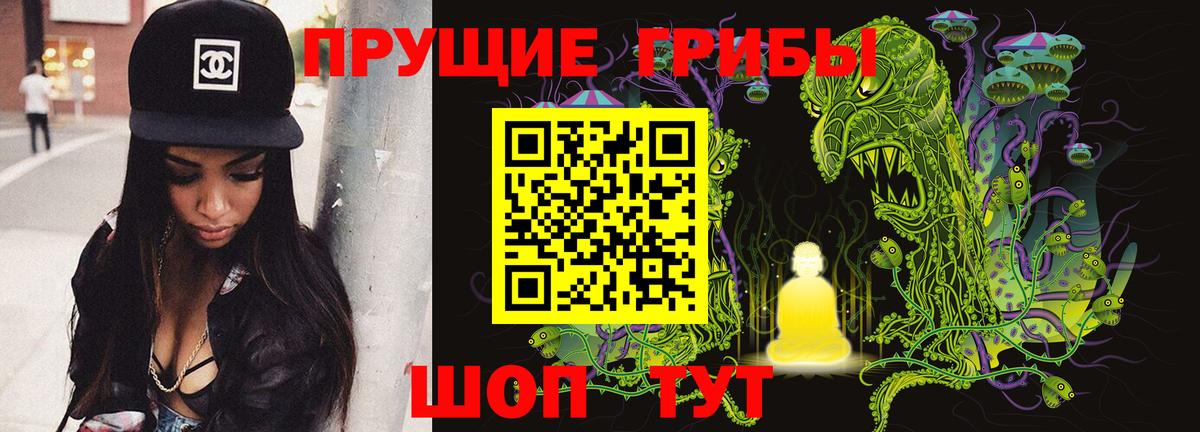 Псилоцибиновые грибы Psilocybine cubensis Светлоград